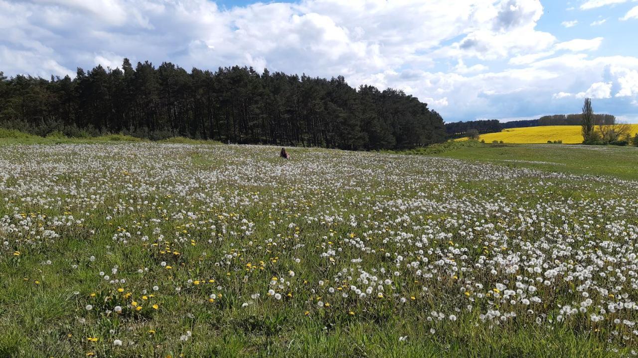 Christianshof Insel Usedom